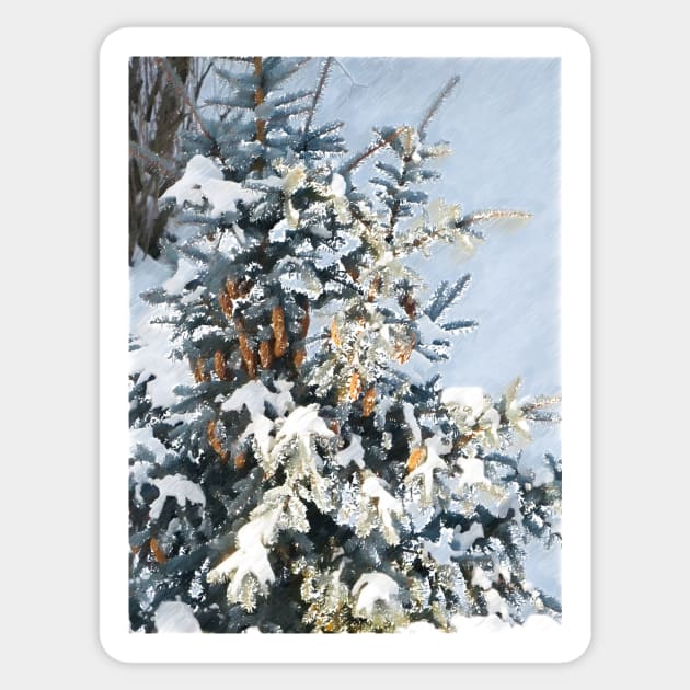 Spruce with the cones in the snow Sticker by Evgeniya
